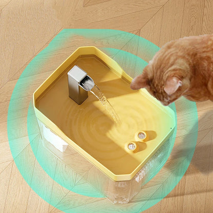 Automatic Transparent Pet Water Dispenser