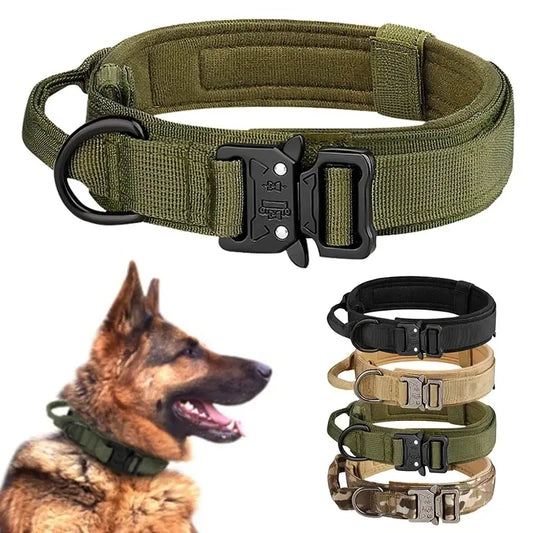 Tactical Nylon Dog Collar with Metal Buckle