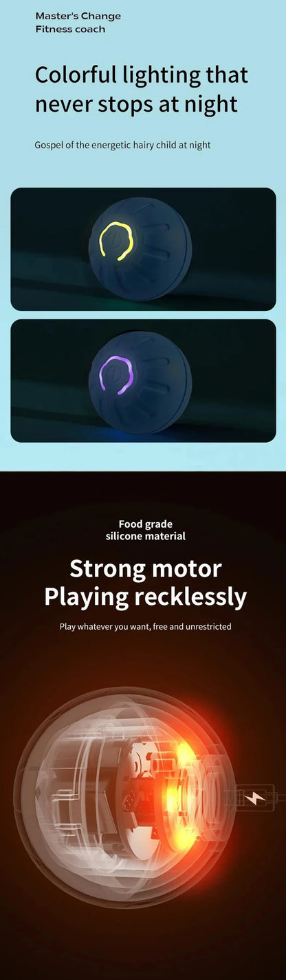 Smart Interactive USB Ball Toy for Pets