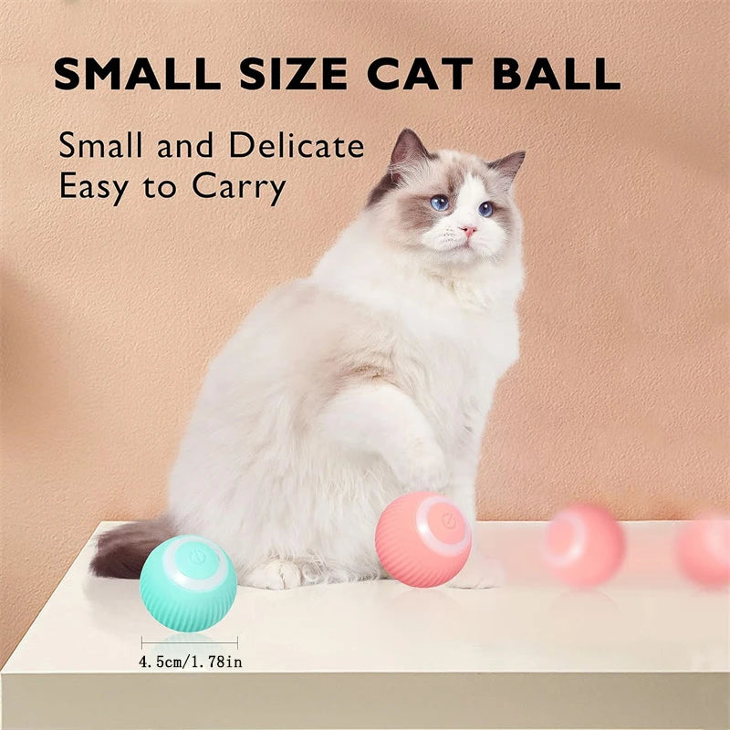 Smart Interactive USB Ball Toy for Pets