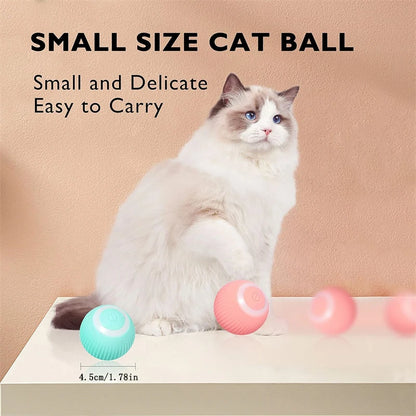 Smart Interactive USB Ball Toy for Pets