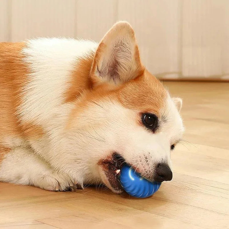 Smart Interactive USB Ball Toy for Pets