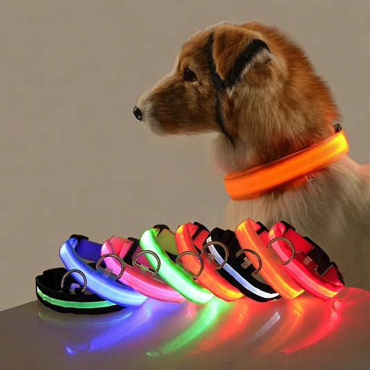 LED Glow Nylon Dog Leash & Collar