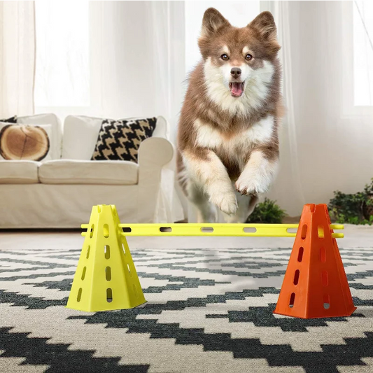 Dog Agility Jumping & Obstacle Training Set