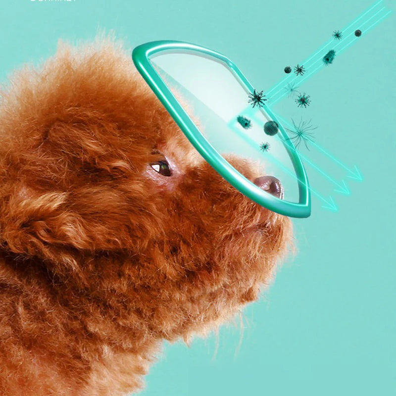 Pet Eye Wipes for Cats & Dogs