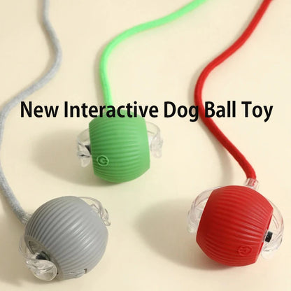 Automatic Smart Interactive Dog Ball Toy