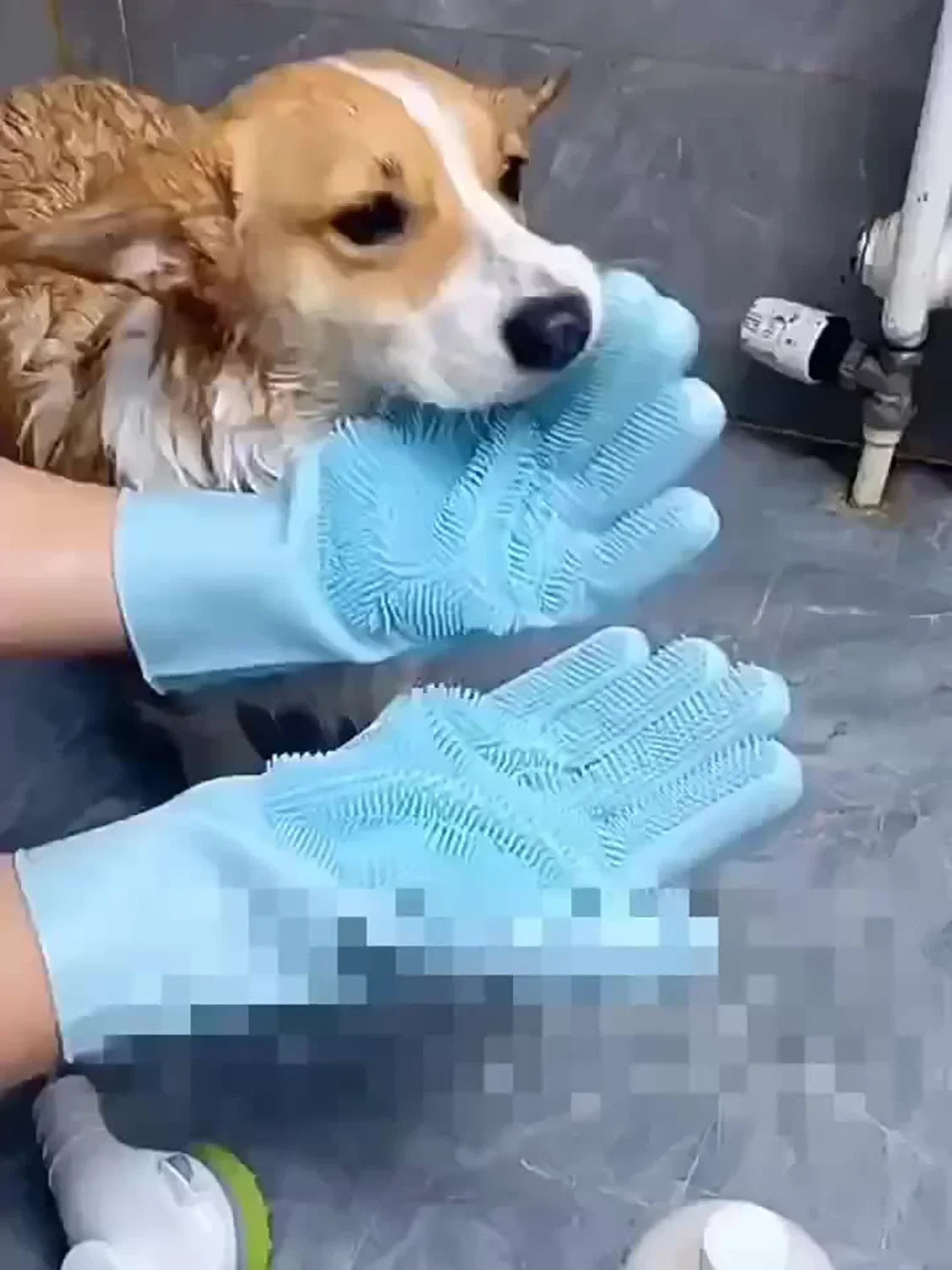 Pet Grooming & Hair Removal Gloves