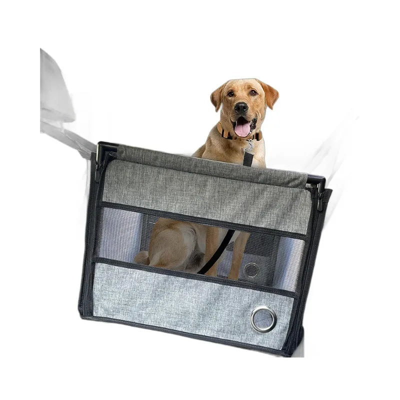 Portable car set peace dog career