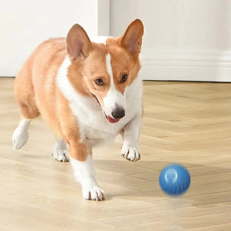 Smart Interactive USB Ball Toy for Pets