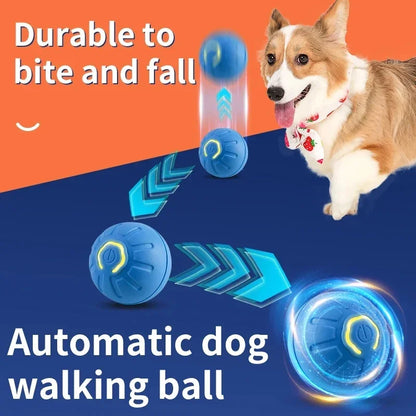 Smart Interactive USB Ball Toy for Pets
