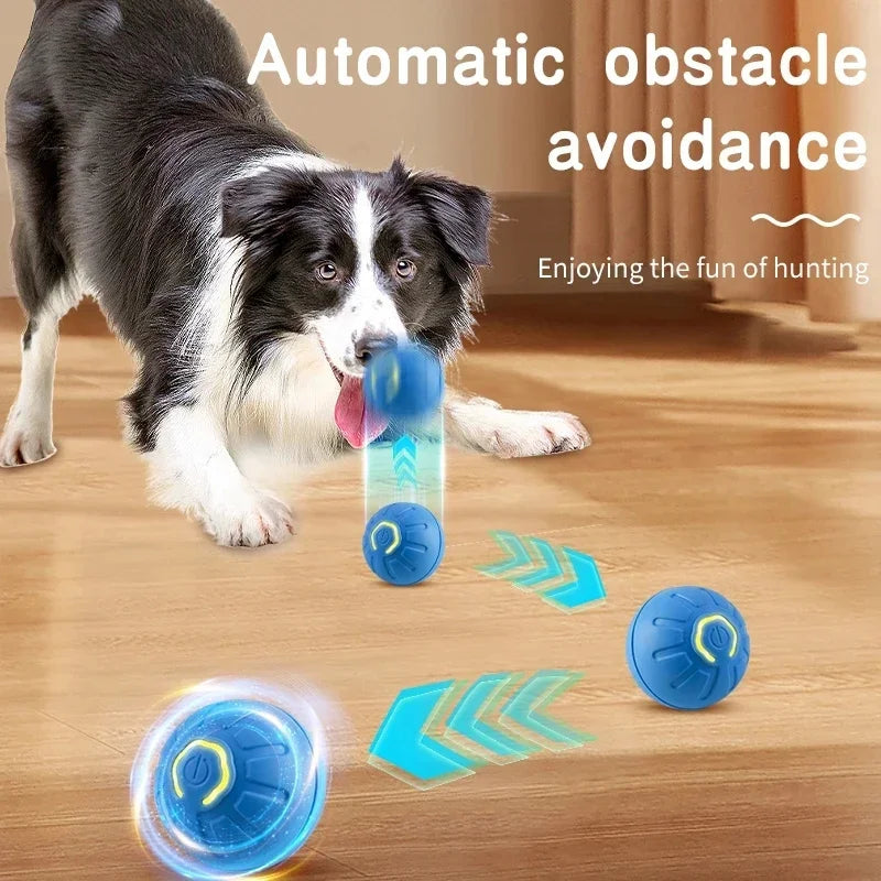 Smart Interactive USB Ball Toy for Pets