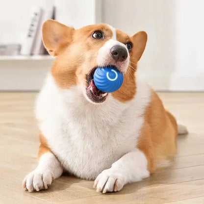 Smart Interactive USB Ball Toy for Pets