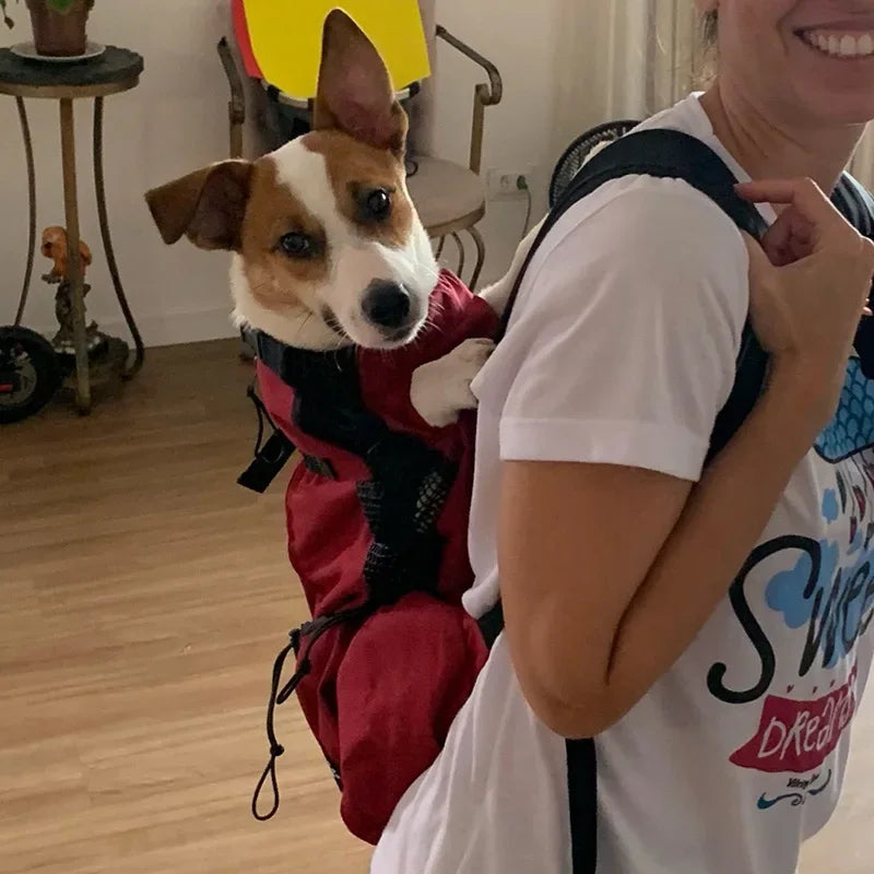 Nylon Dog Carrier Backpack for Small Dogs