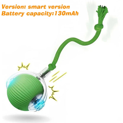 Automatic Smart Interactive Dog Ball Toy
