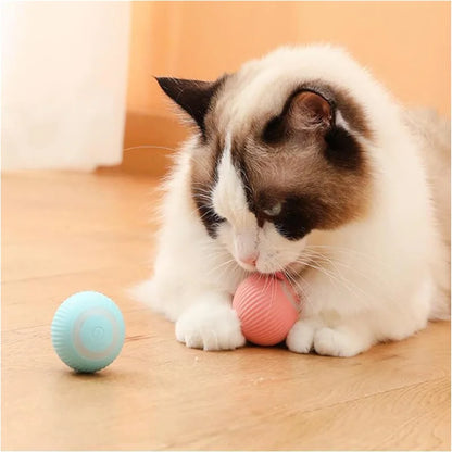 Smart Interactive USB Ball Toy for Pets