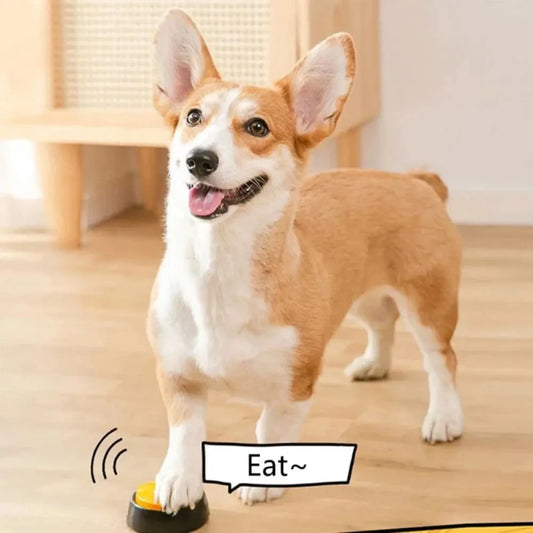 8PCS Dog Voice Buttons for Training