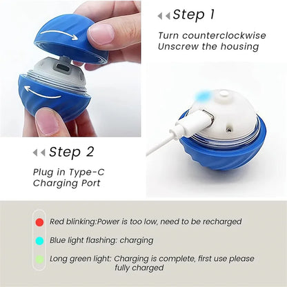 Smart Interactive USB Ball Toy for Pets