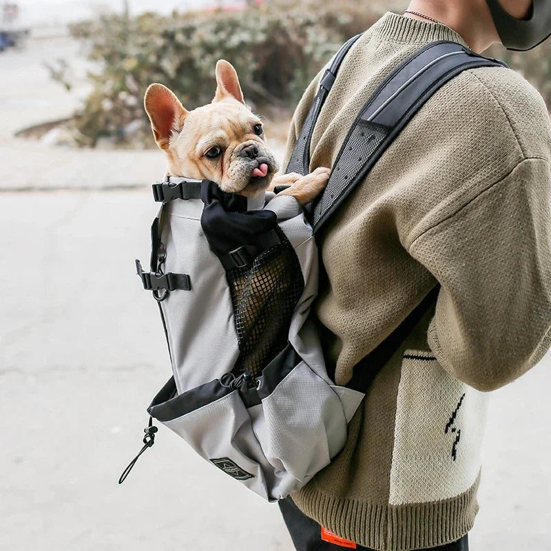 Nylon Dog Carrier Backpack for Small Dogs