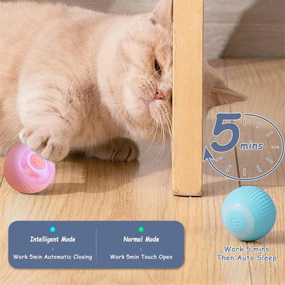 Smart Interactive USB Ball Toy for Pets