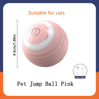 Smart Interactive USB Ball Toy for Pets