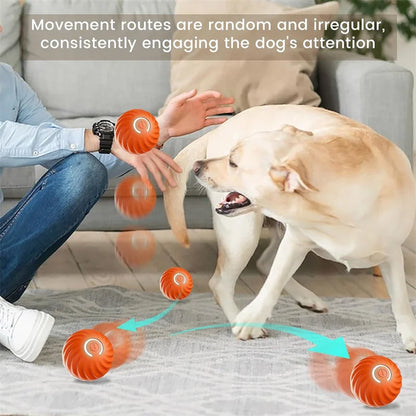 Smart Interactive USB Ball Toy for Pets